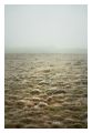 Thumbnail for version as of 18:53, 10 July 2026